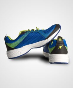 Classic Shop sports shoe1